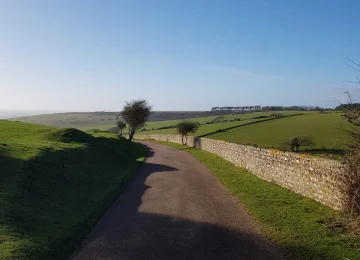 Road with green fields